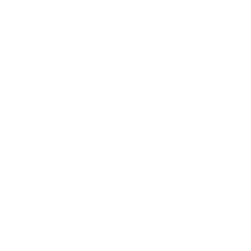 Momentum